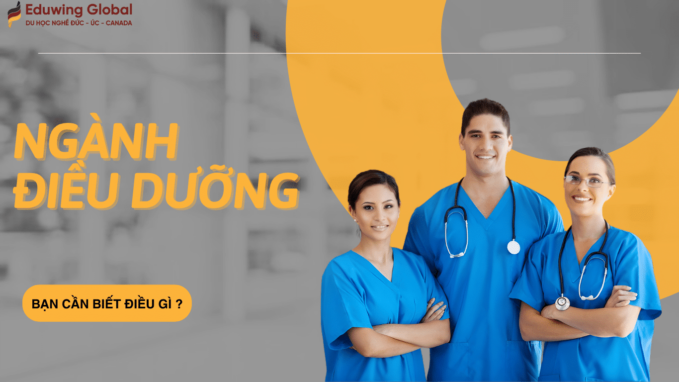 Du học nghề điều dưỡng Đức: Điều kiện, mức lương và cơ hội định cư chi tiết