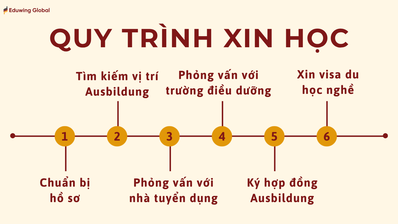 Infographic quy trình xin học nghề điều dưỡng tại Đức gồm 6 bước: chuẩn bị hồ sơ, tìm kiếm vị trí Ausbildung, phỏng vấn với nhà tuyển dụng, phỏng vấn với trường điều dưỡng, ký hợp đồng Ausbildung và xin visa du học nghề.