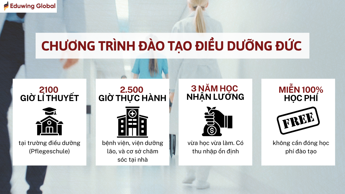 Infographic chương trình đào tạo điều dưỡng Đức với 4 thông tin chính: 2100 giờ lý thuyết, 2500 giờ thực hành, học 3 năm có lương và miễn 100% học phí.
