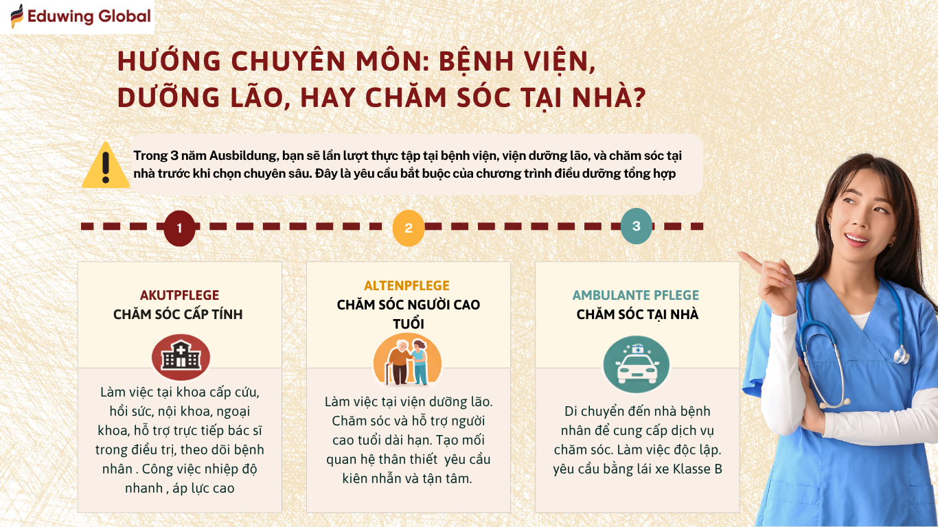 3 hướng chuyên môn điều dưỡng tại Đức trong chương trình Ausbildung: bệnh viện, dưỡng lão và chăm sóc tại nhà