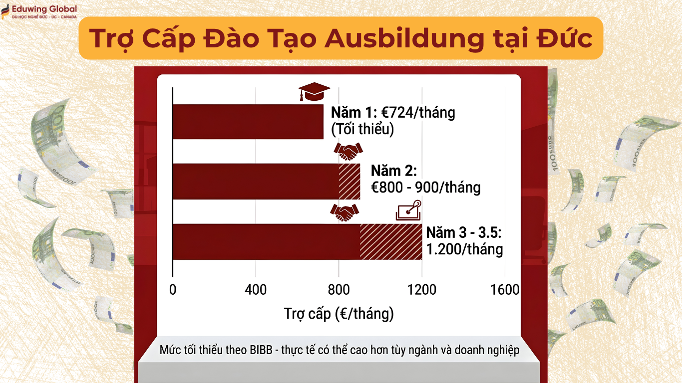 Biểu đồ trợ cấp đào tạo nghề Ausbildung tại Đức theo từng năm từ mức tối thiểu €724 đến €1.