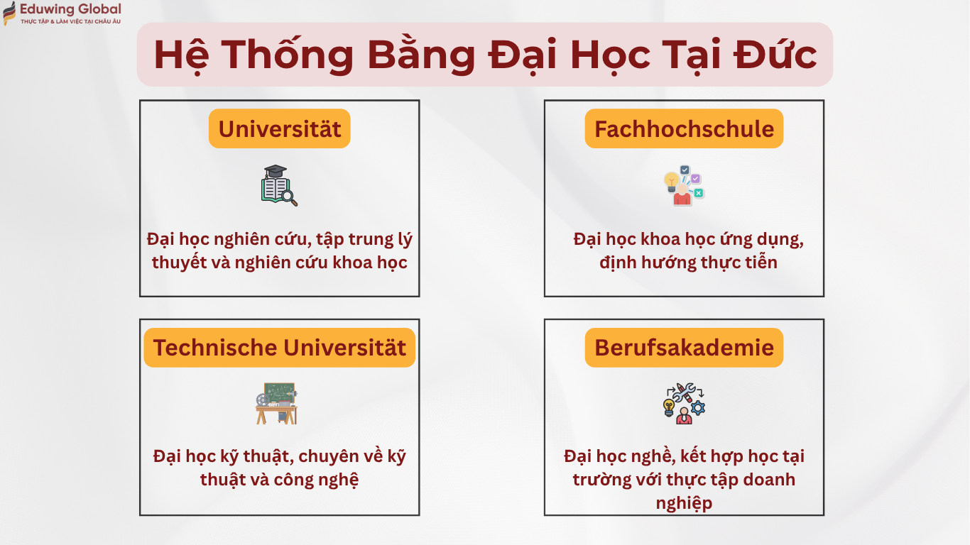 Sơ đồ các loại hình trường đại học tại Đức bao gồm Universität (Đại học nghiên cứu), Fachhochschule (Đại học ứng dụng), Technische Universität (Đại học kỹ thuật) và Berufsakademie (Đại học nghề) kèm đặc điểm đào tạo.