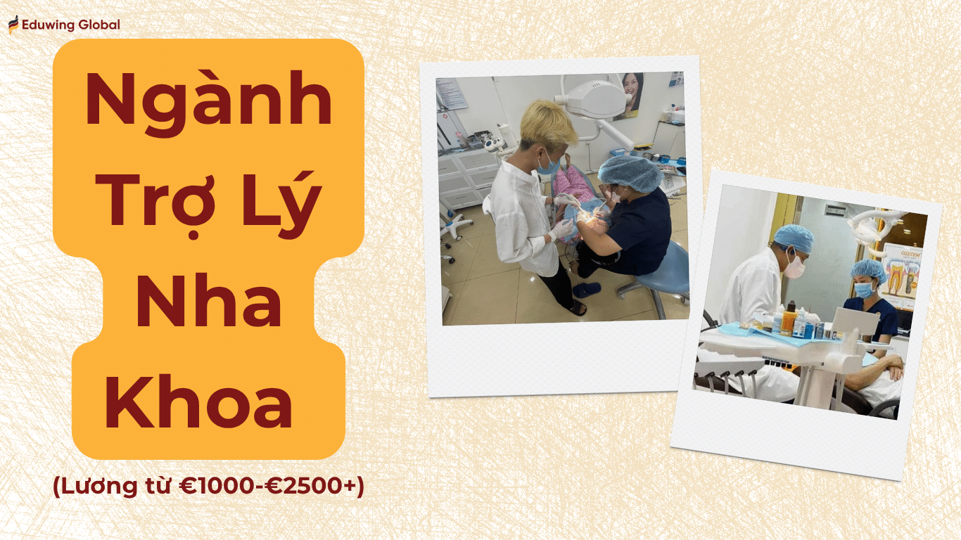 Banner giới thiệu ngành Trợ lý Nha khoa du học nghề Đức của Eduwing Global, hiển thị mức lương từ 1.190 Euro đến 3.000 Euro kèm hình ảnh thực tế học viên đang thực hành tại phòng khám nha khoa.