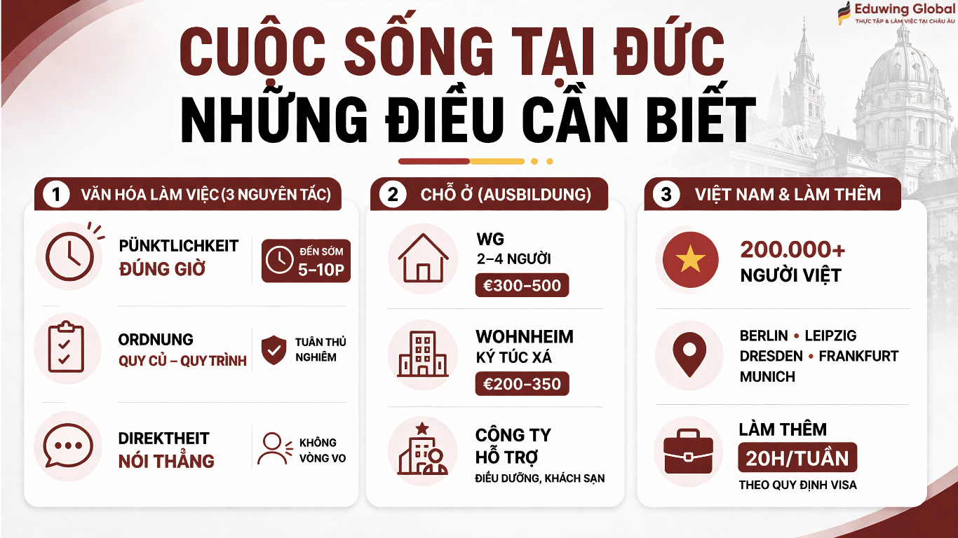 Infographic tổng hợp những điều cần biết về cuộc sống tại Đức bao gồm văn hóa làm việc, nhà ở, cộng đồng người Việt và quy định làm thêm cho du học sinh.