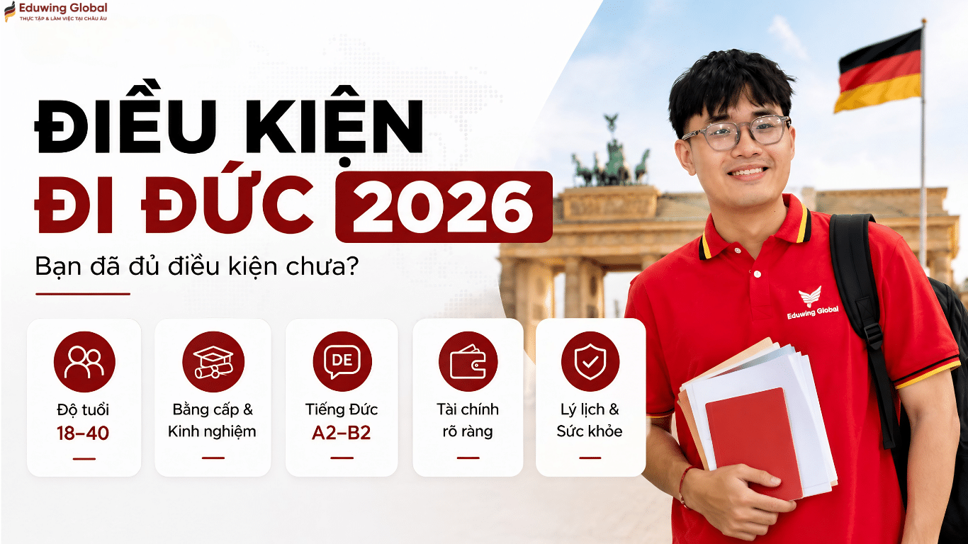 Văn bản thay thế (Alt text): Tổng hợp các điều kiện du học nghề Đức mới nhất năm 2026 bao gồm độ tuổi, bằng cấp và trình độ ngoại ngữ.